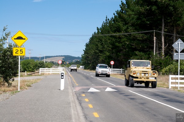 New Zealand 09 10  113